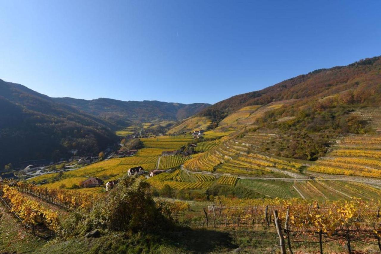 Weingut Piewald Leilighet Gut am Steg Eksteriør bilde