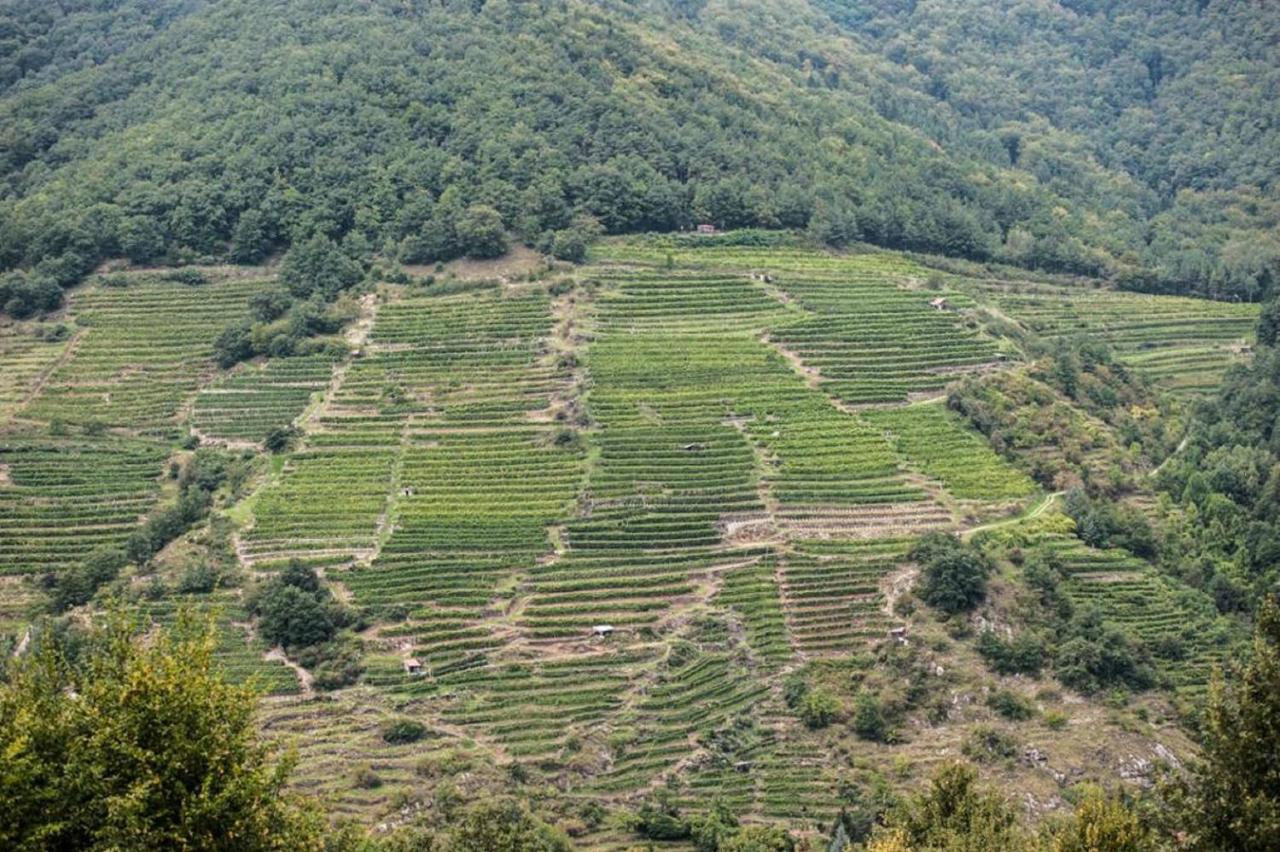 Weingut Piewald Leilighet Gut am Steg Eksteriør bilde